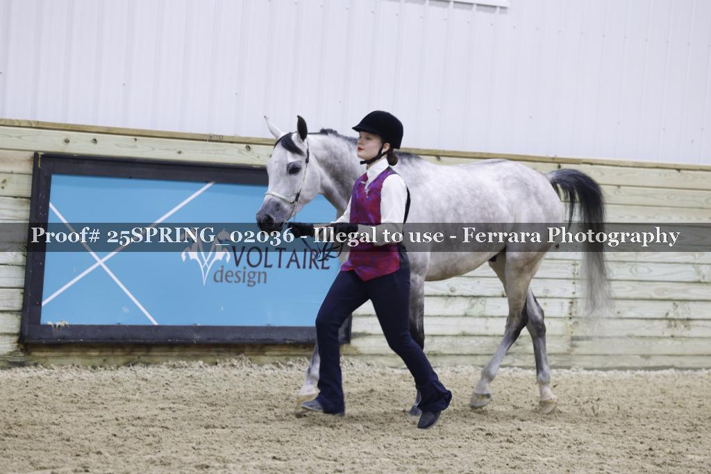 Proof 25SPRING_02036