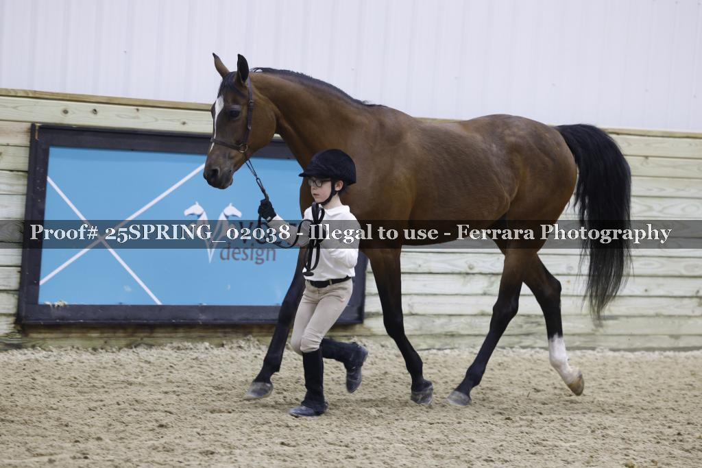 Proof 25SPRING_02038