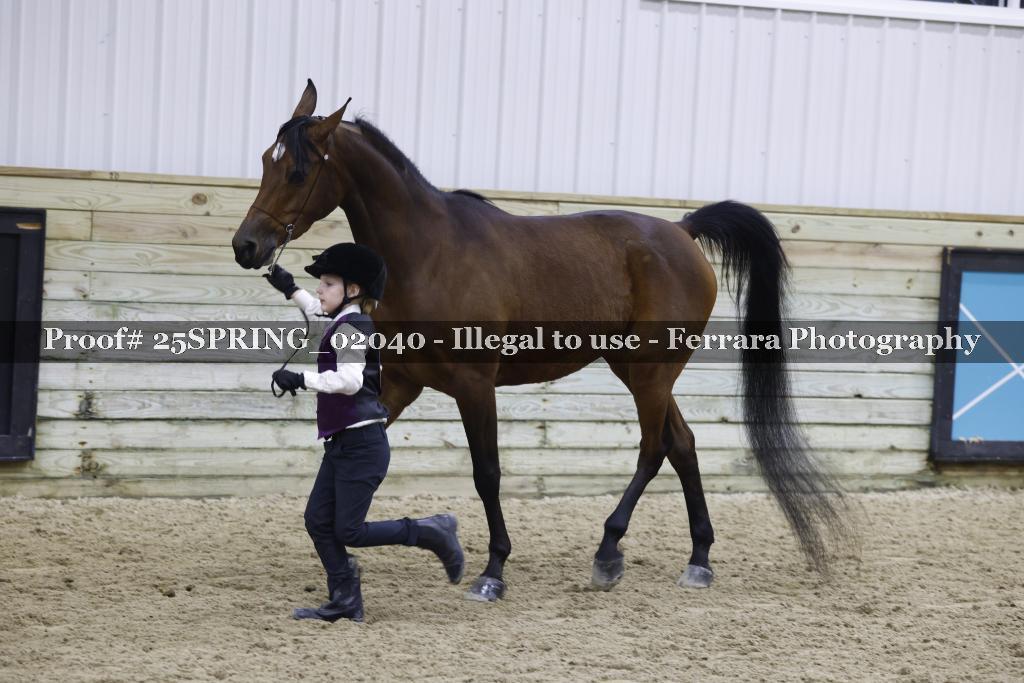 Proof 25SPRING_02040