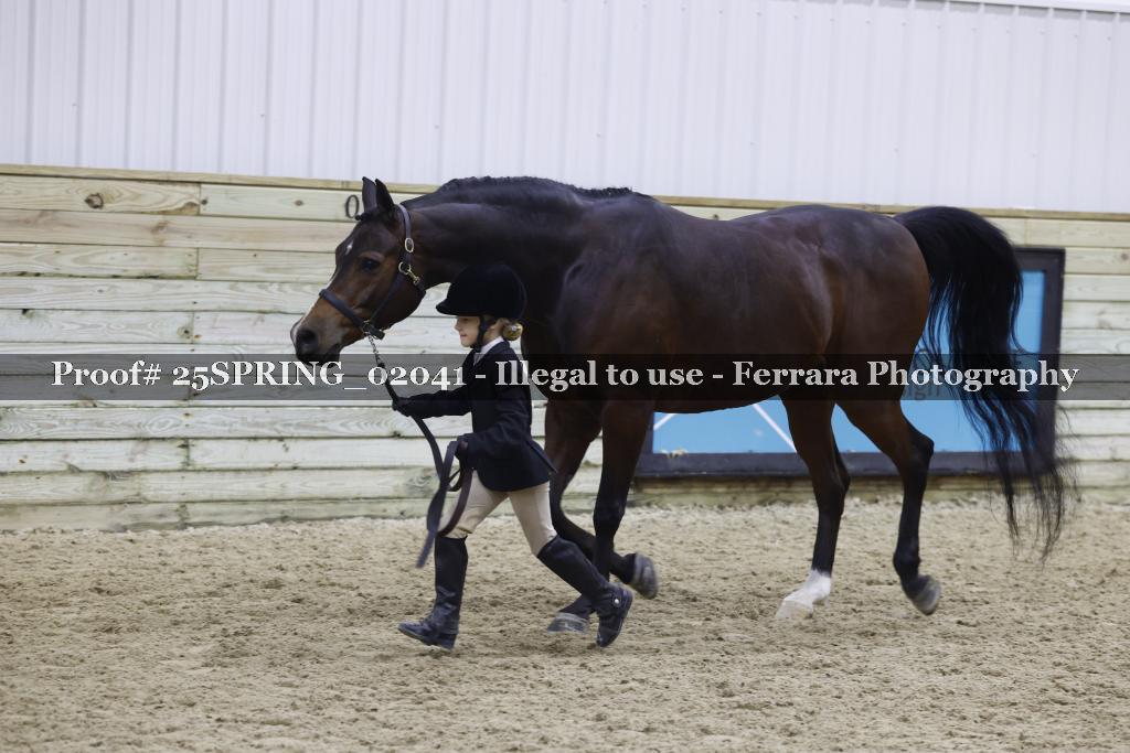 Proof 25SPRING_02041