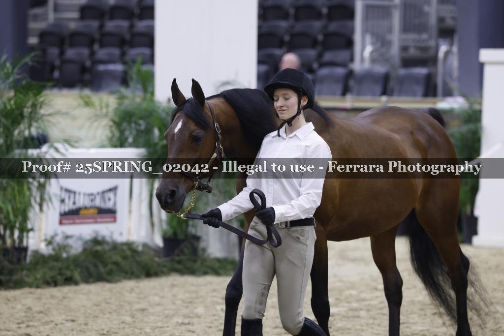 Proof 25SPRING_02042
