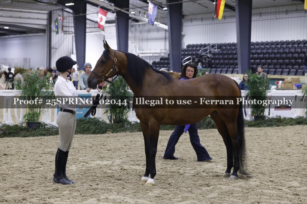 Proof 25SPRING_02044