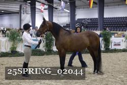 25SPRING_02044 proof