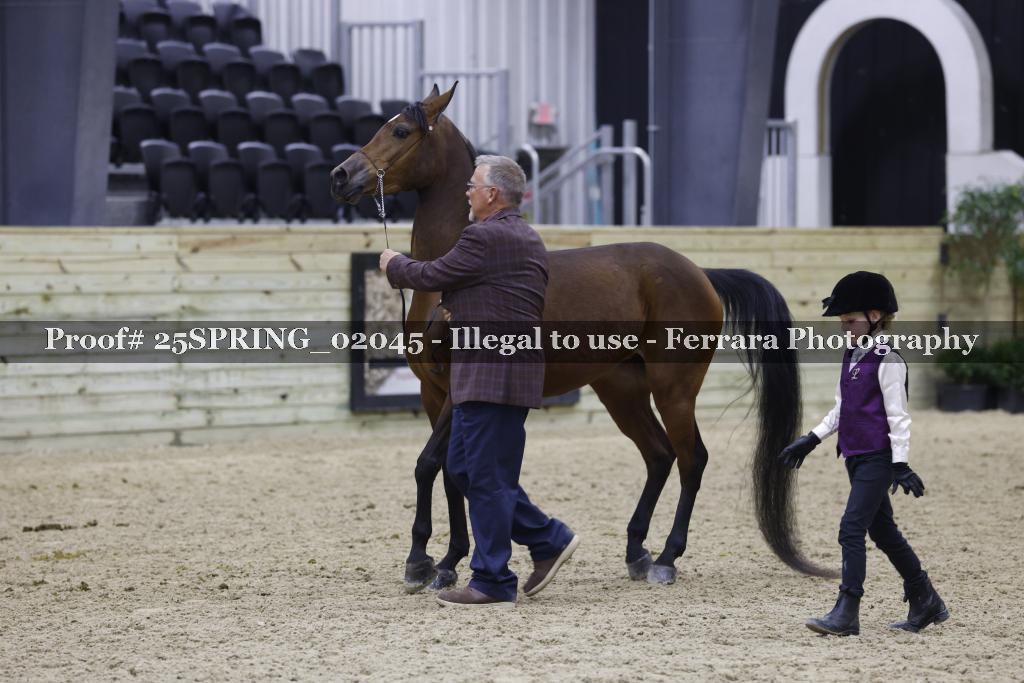 Proof 25SPRING_02045