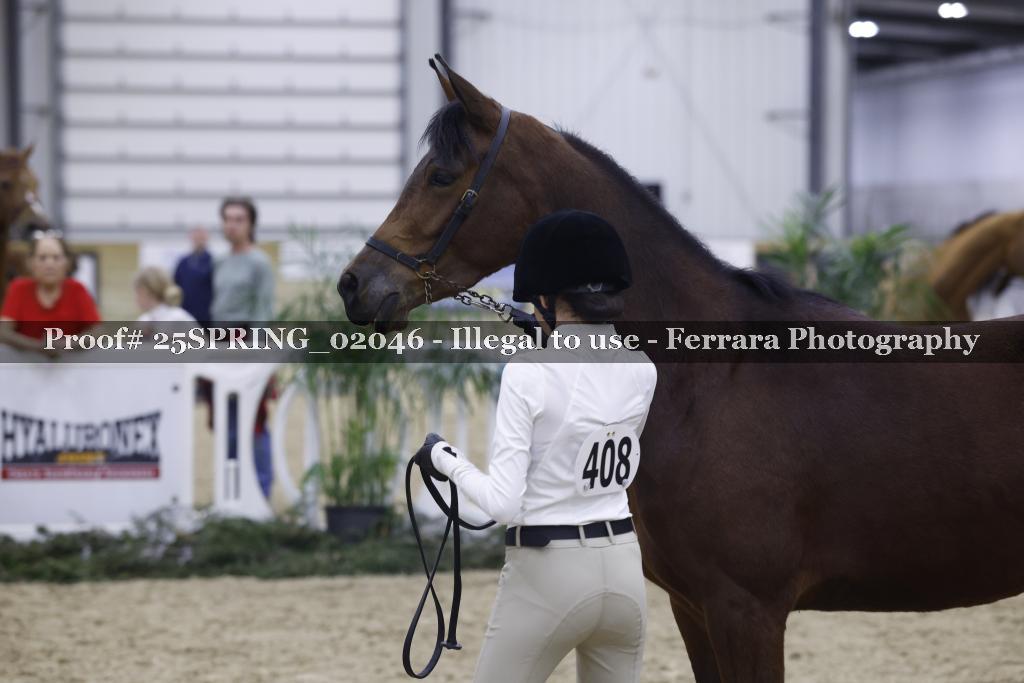 Proof 25SPRING_02046