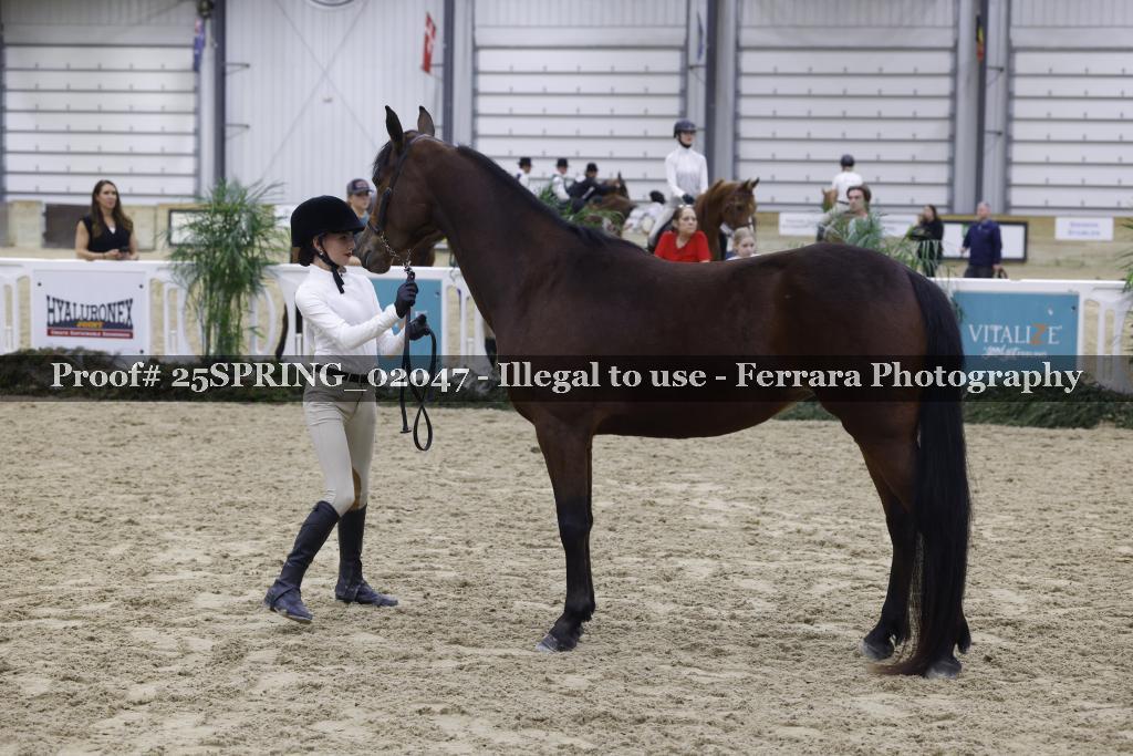 Proof 25SPRING_02047