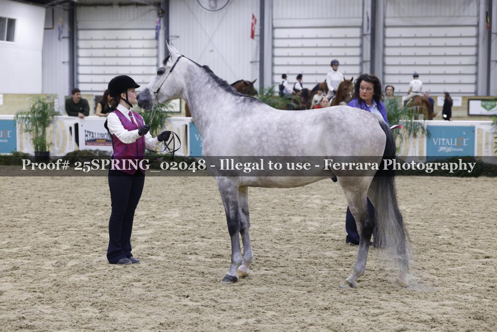 Proof 25SPRING_02048