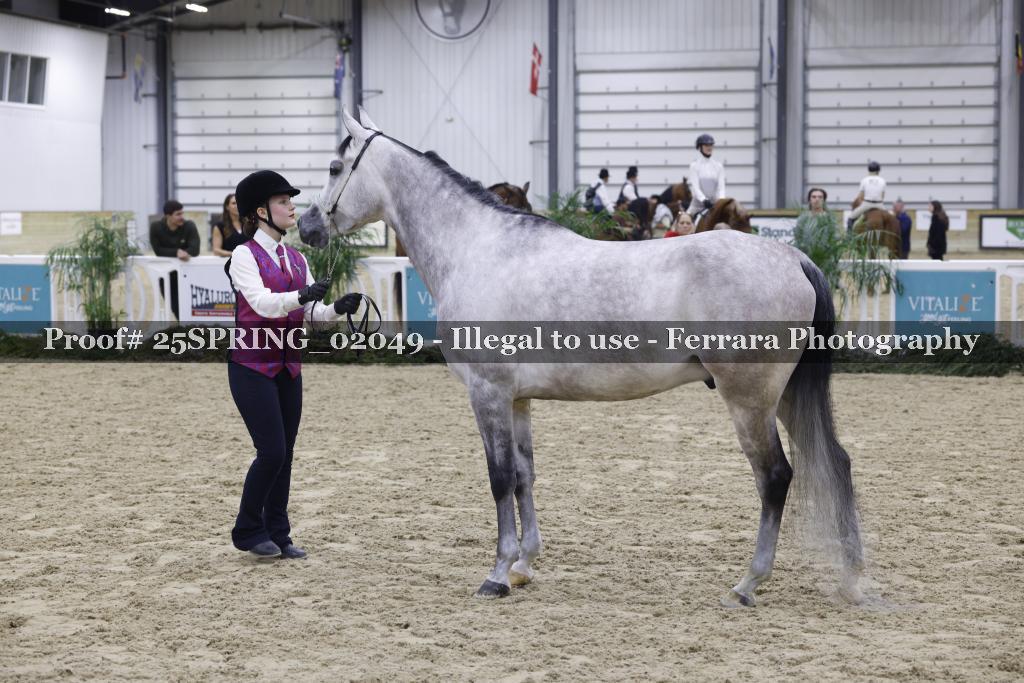 Proof 25SPRING_02049