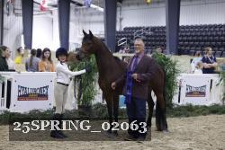 25SPRING_02063 proof