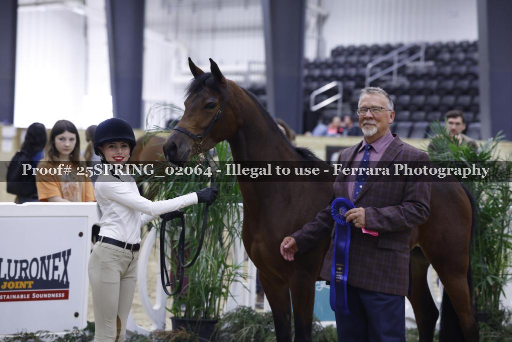 Proof 25SPRING_02064