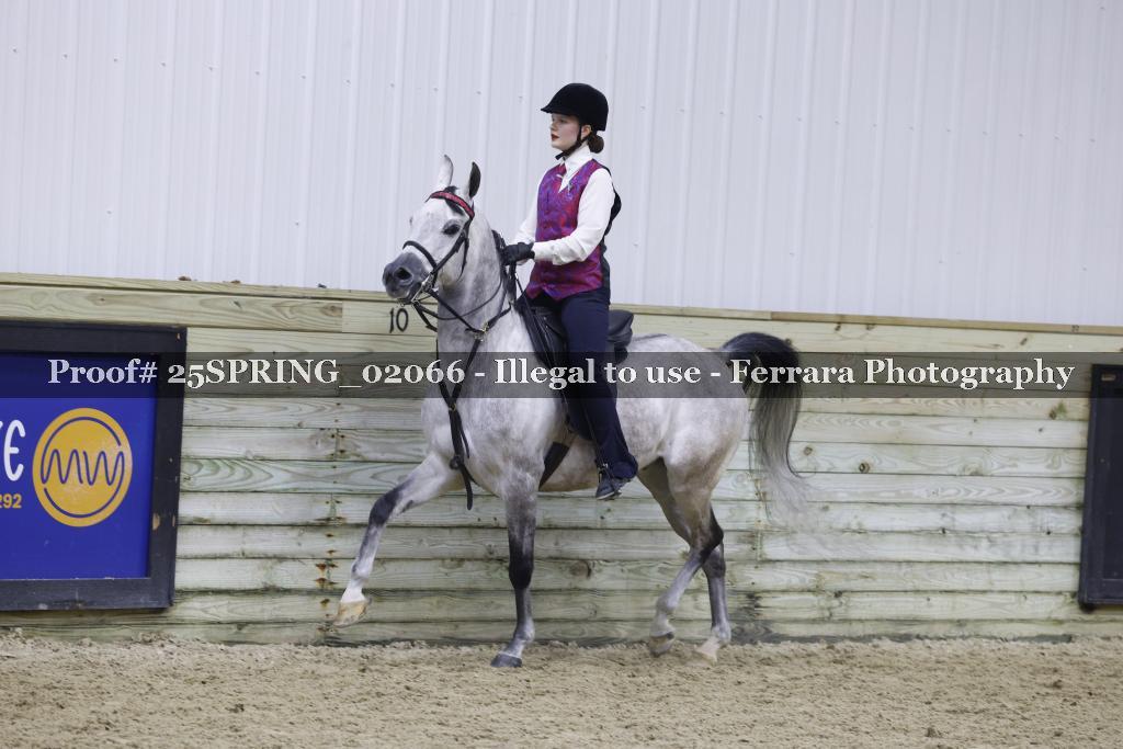 Proof 25SPRING_02066