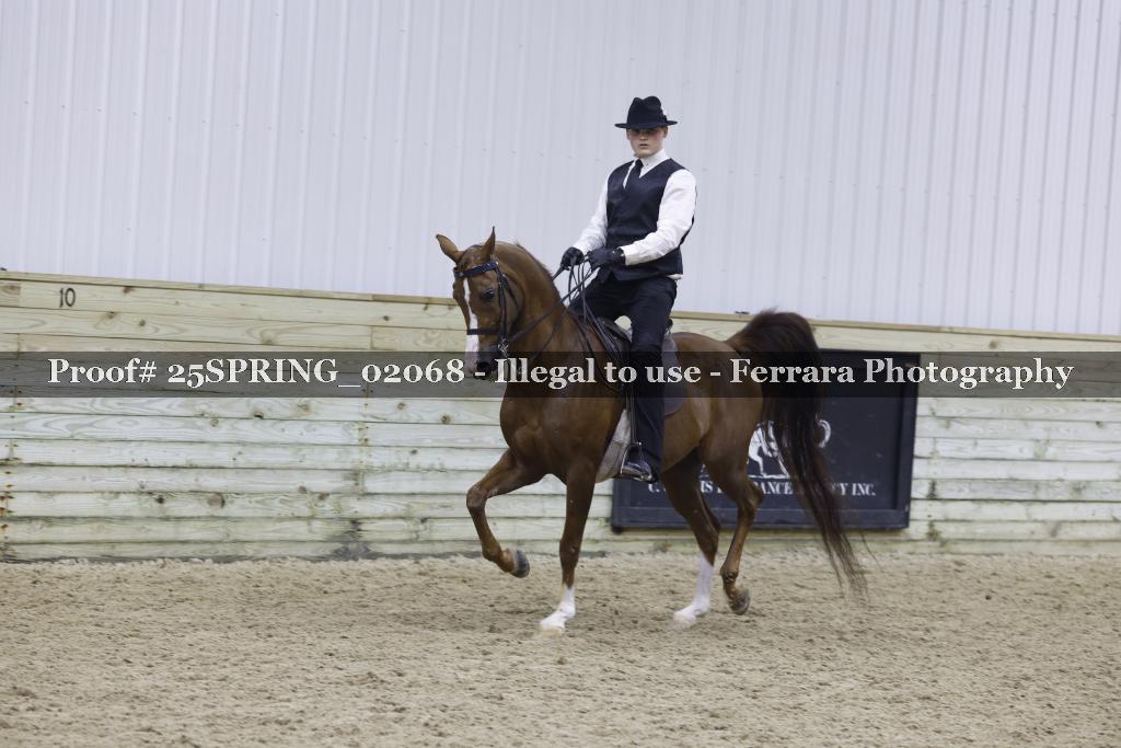 Proof 25SPRING_02068