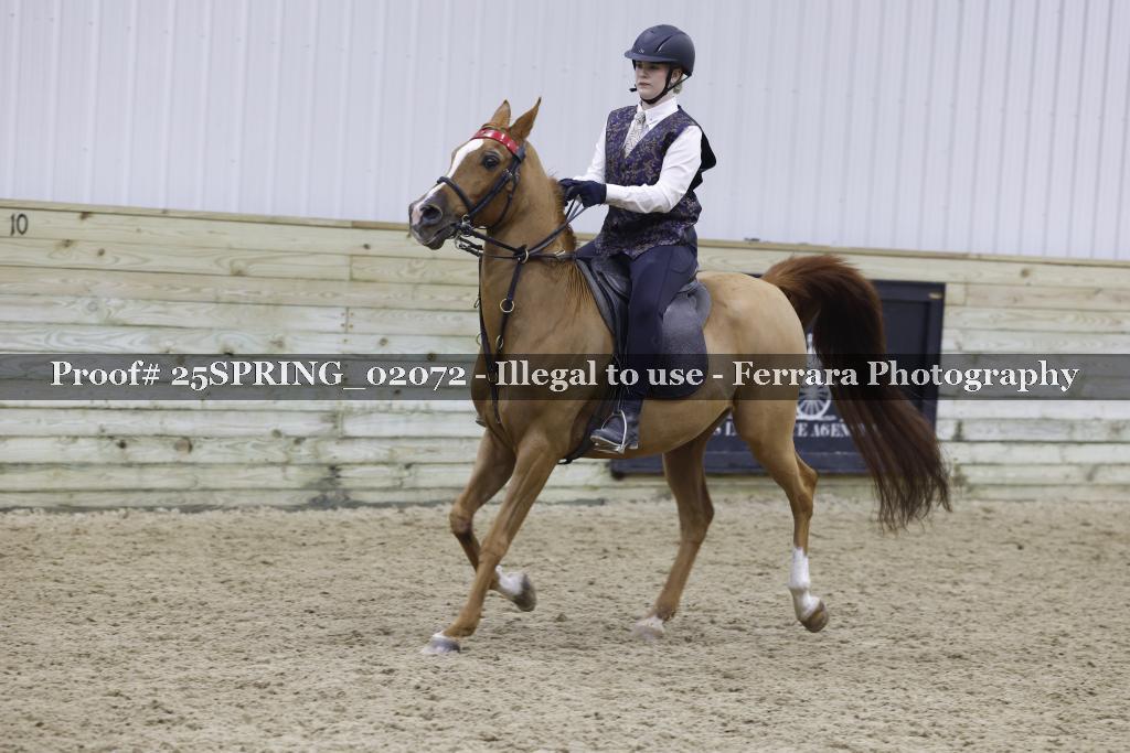 Proof 25SPRING_02072