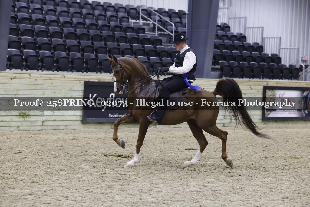Proof 25SPRING_02073