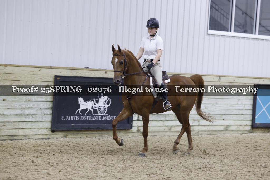 Proof 25SPRING_02076