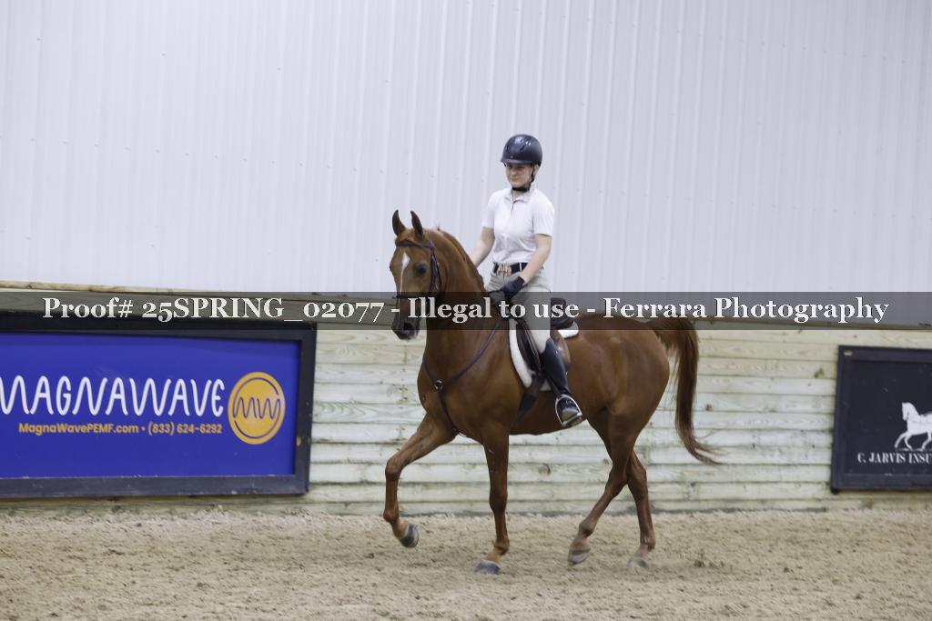Proof 25SPRING_02077