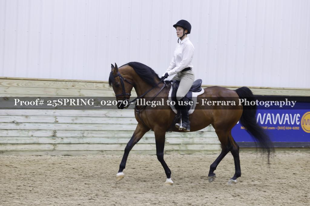Proof 25SPRING_02079