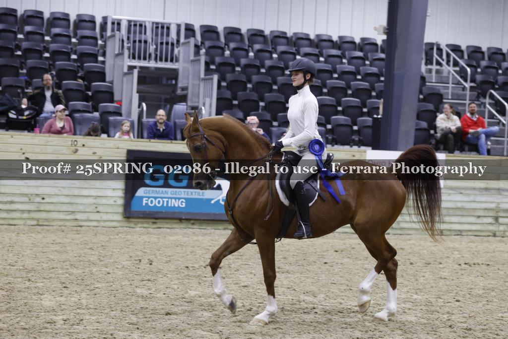 Proof 25SPRING_02086