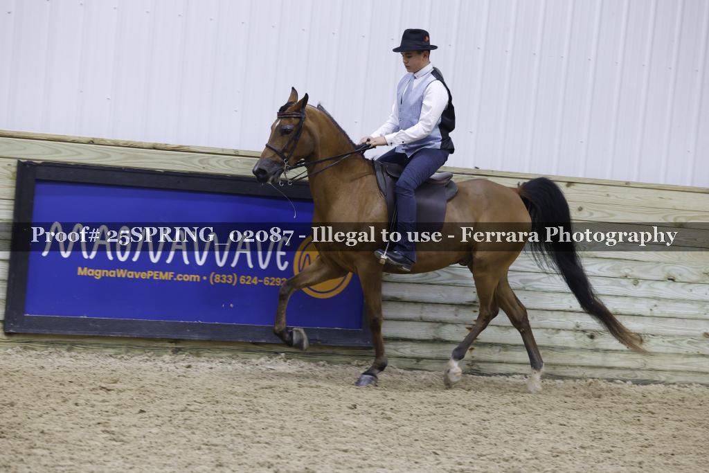 Proof 25SPRING_02087