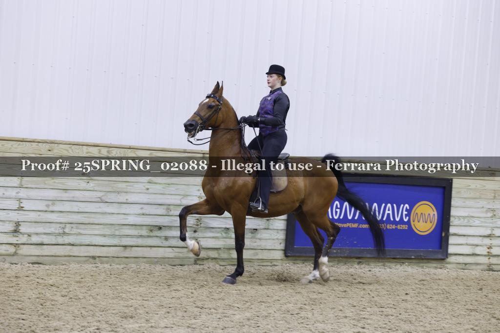 Proof 25SPRING_02088