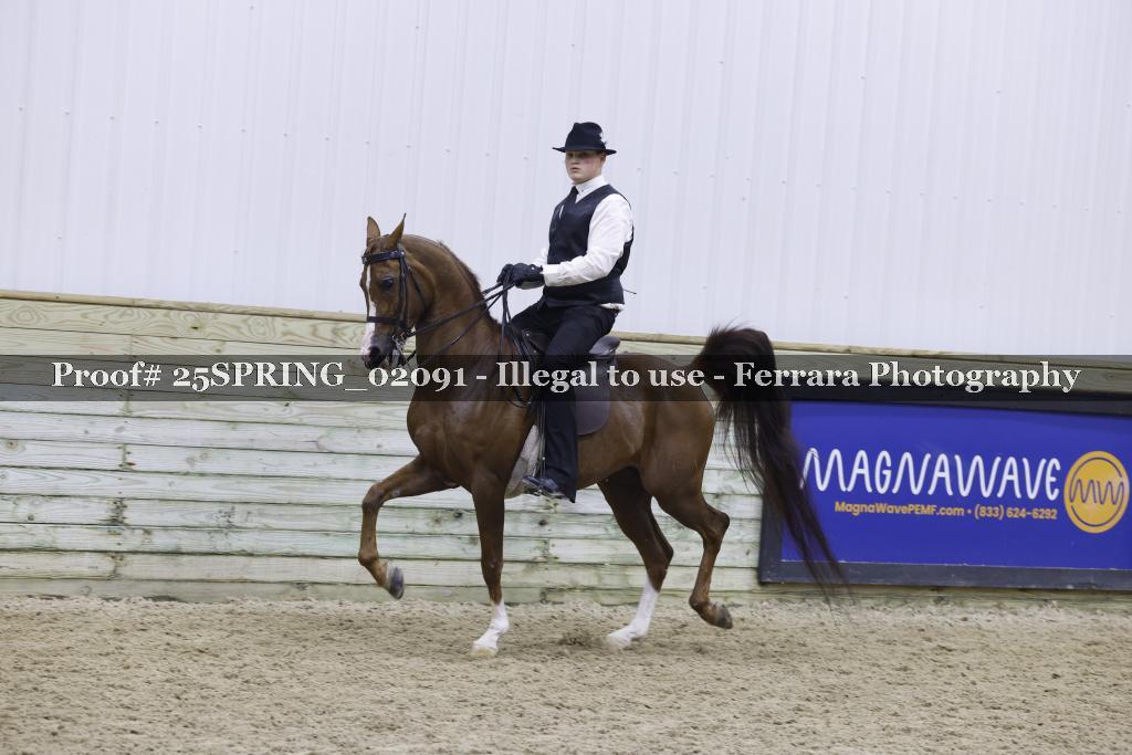 Proof 25SPRING_02091