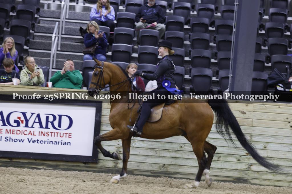 Proof 25SPRING_02096