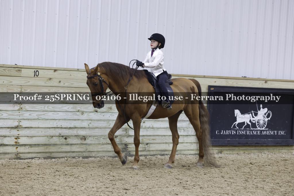 Proof 25SPRING_02106