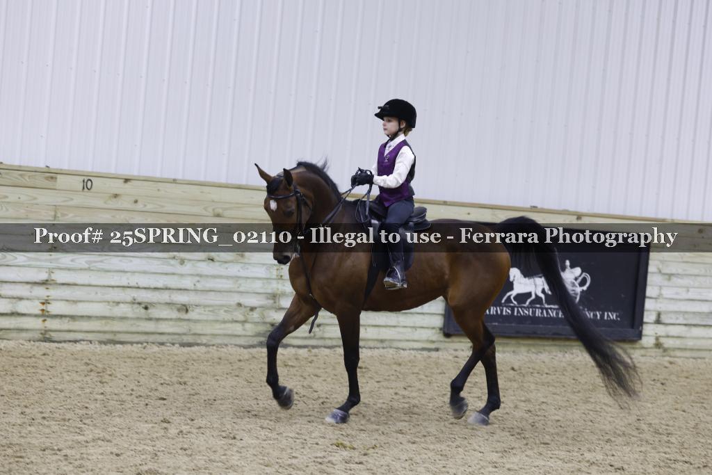 Proof 25SPRING_02110