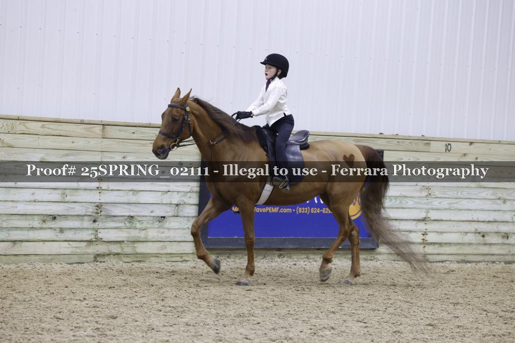 Proof 25SPRING_02111