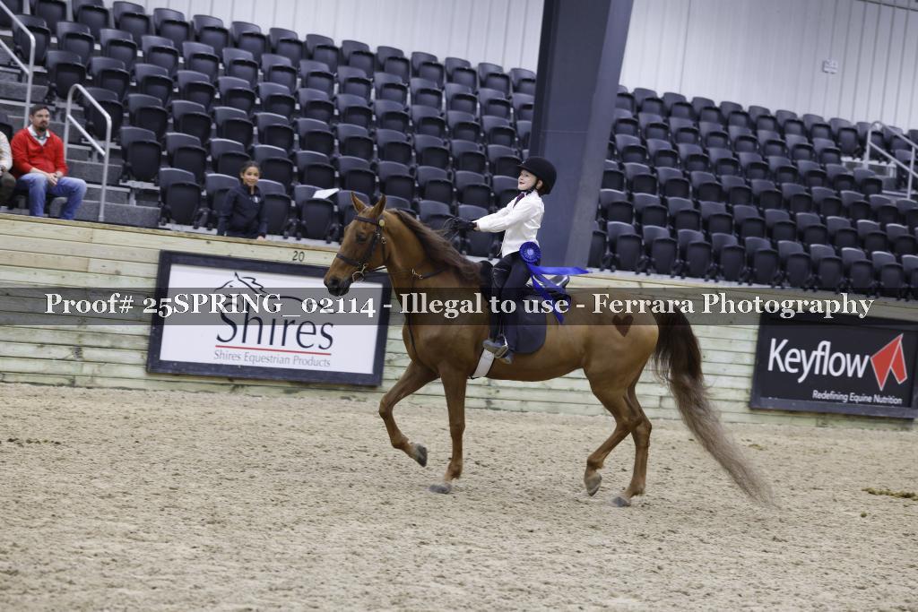 Proof 25SPRING_02114