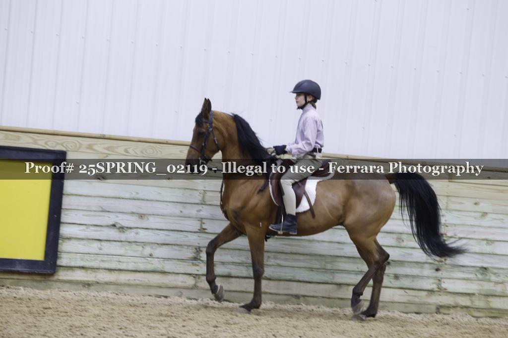 Proof 25SPRING_02119