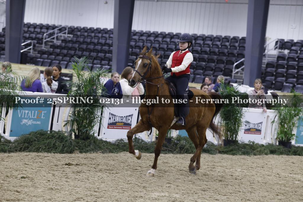 Proof 25SPRING_02131