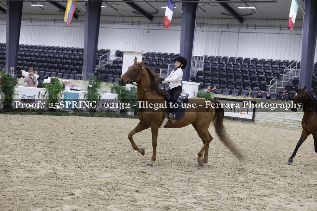Proof 25SPRING_02132