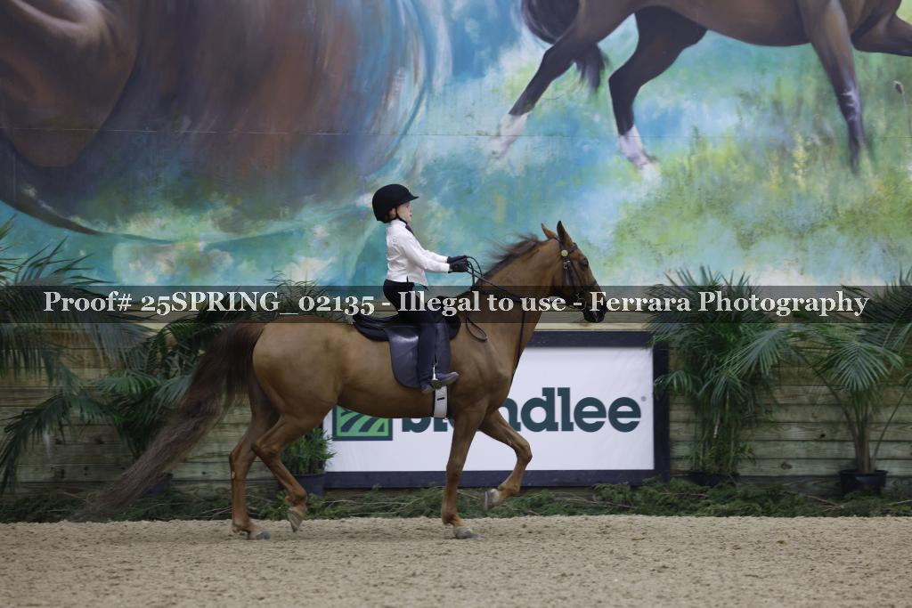 Proof 25SPRING_02135
