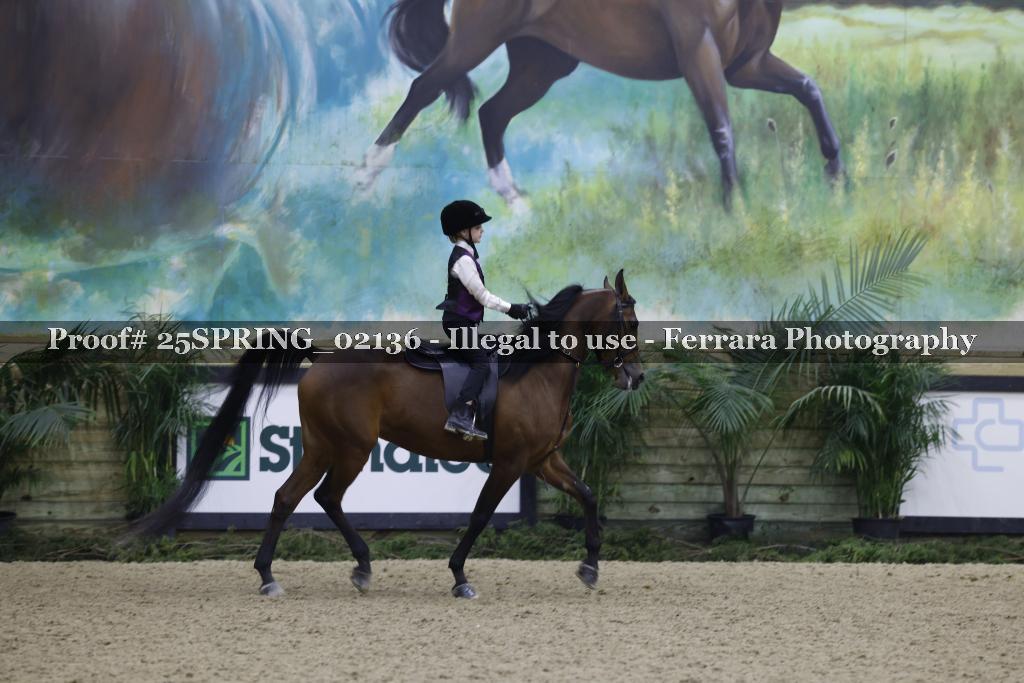 Proof 25SPRING_02136
