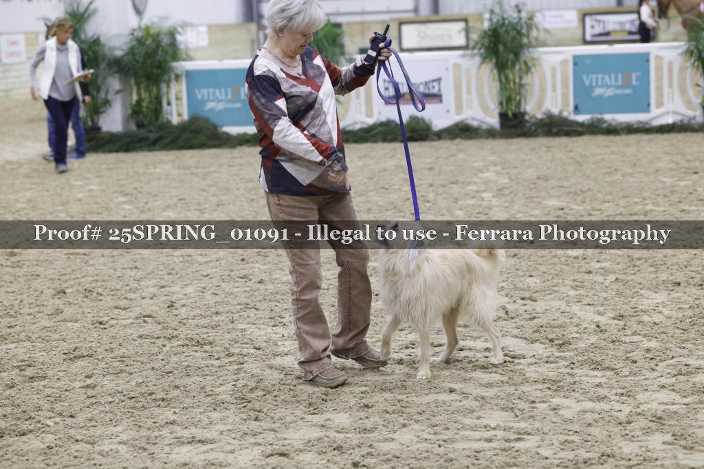 Proof 25SPRING_01091