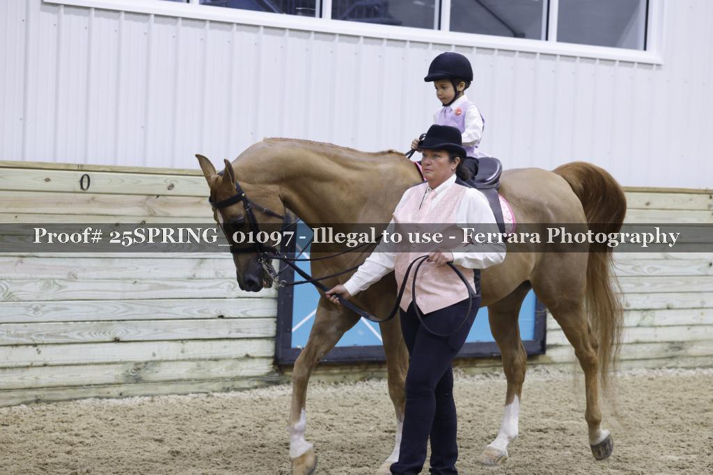 Proof 25SPRING_01097