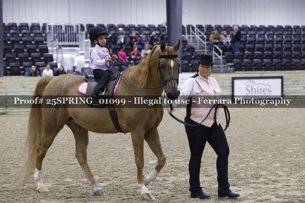 Proof 25SPRING_01099