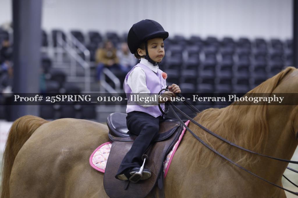 Proof 25SPRING_01100
