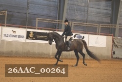 26AAC_00264 proof