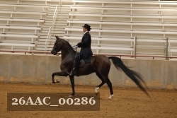 26AAC_00286 proof
