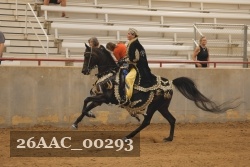 26AAC_00293 proof