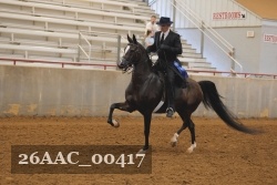 26AAC_00417 proof