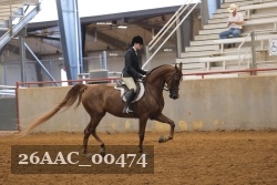 26AAC_00474 proof