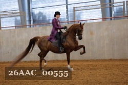 26AAC_00555 proof
