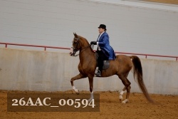 26AAC_00594 proof