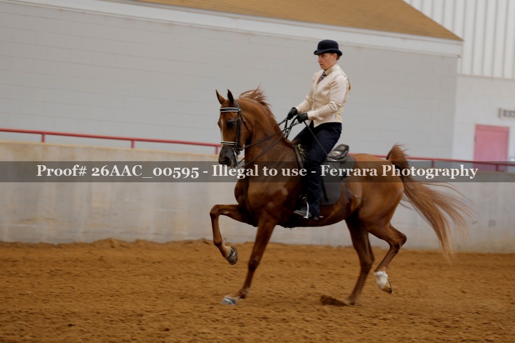 Proof 26AAC_00595