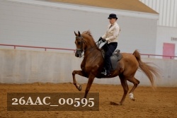 26AAC_00595 proof