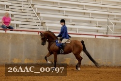26AAC_00797 proof
