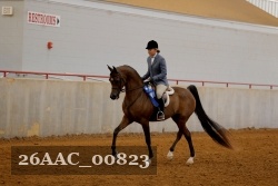 26AAC_00823 proof